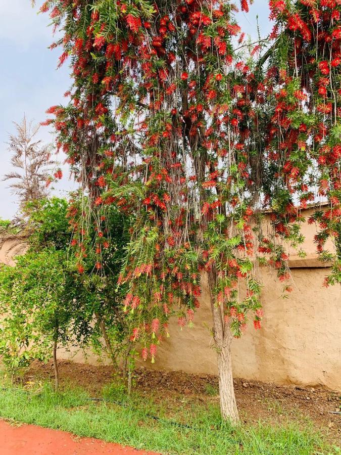 Villa Yanii Siin مراكش المظهر الخارجي الصورة